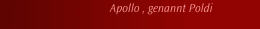 Apollo , genannt Poldi